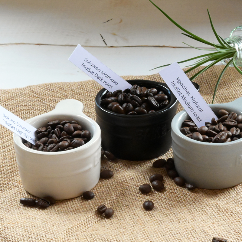 コーヒー ドリップバック